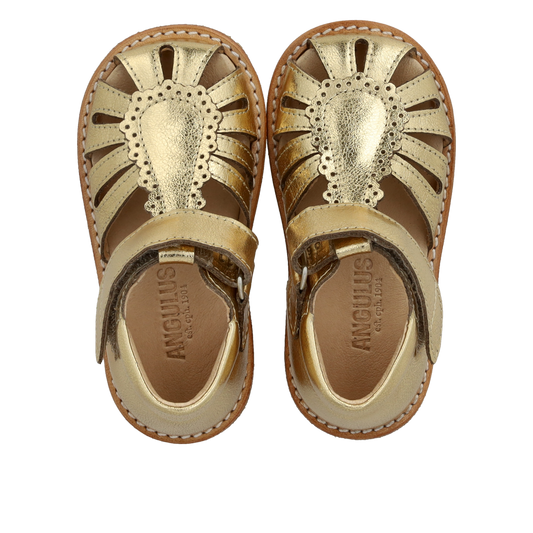 Angulus Begynder sandal med velcro lukning - Gold