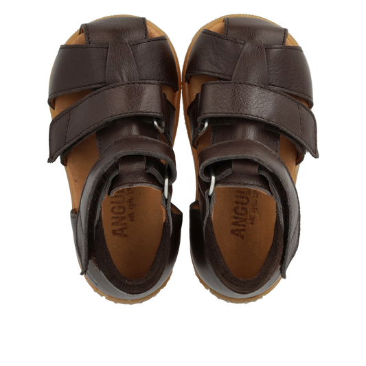 Angulus Begynder sandal - Dark Brown