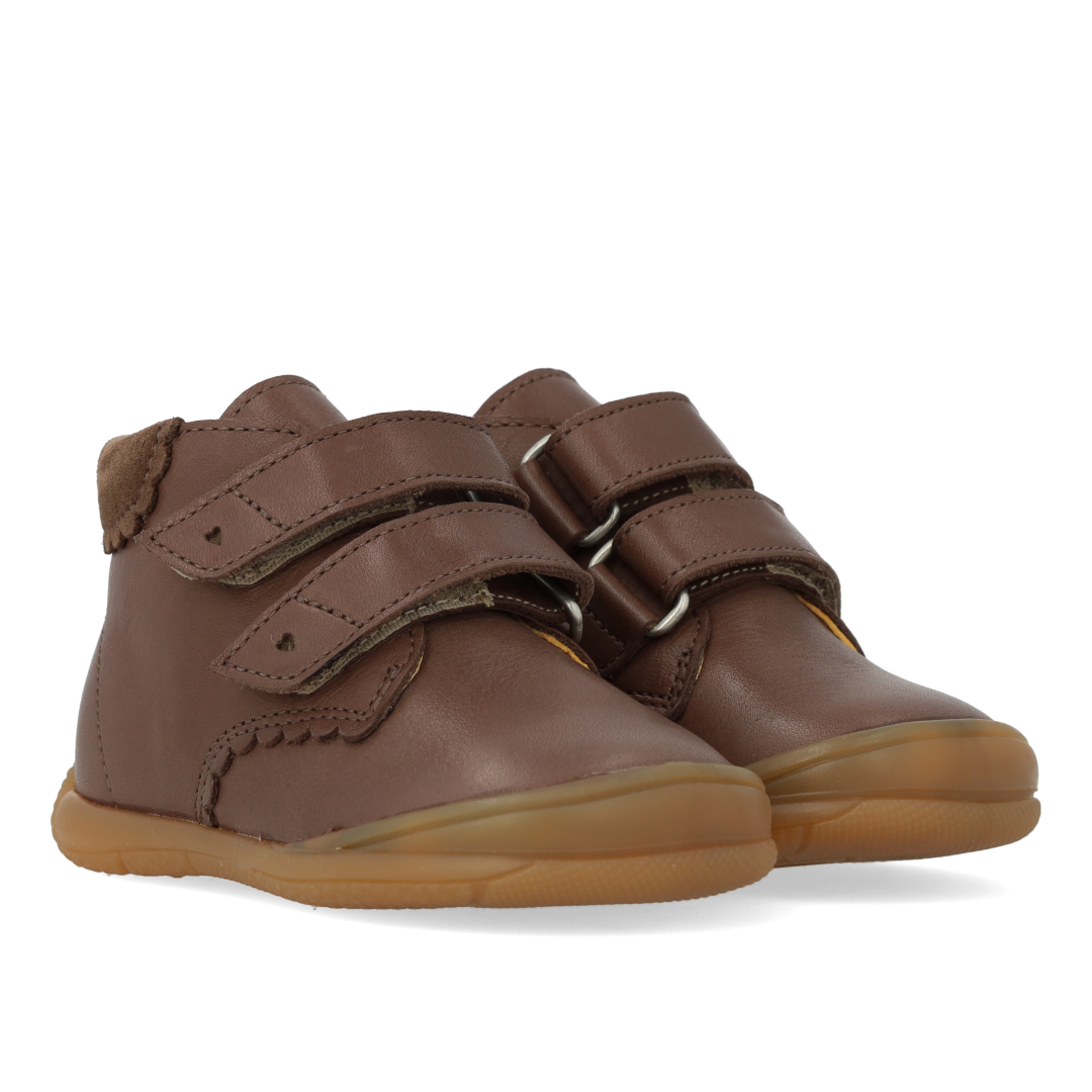 Angulus Shoe Brown