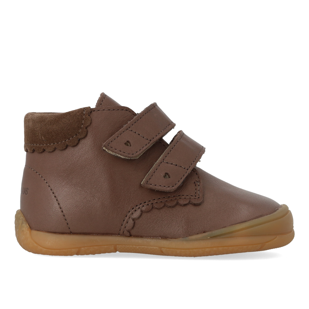 Angulus Shoe Brown