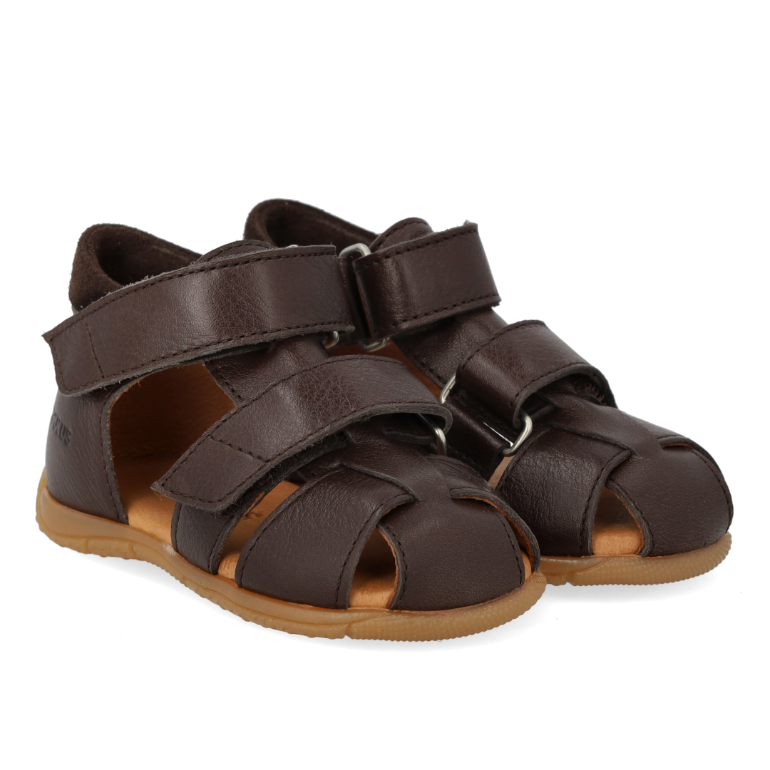 Angulus Begynder sandal  - Dark Brown