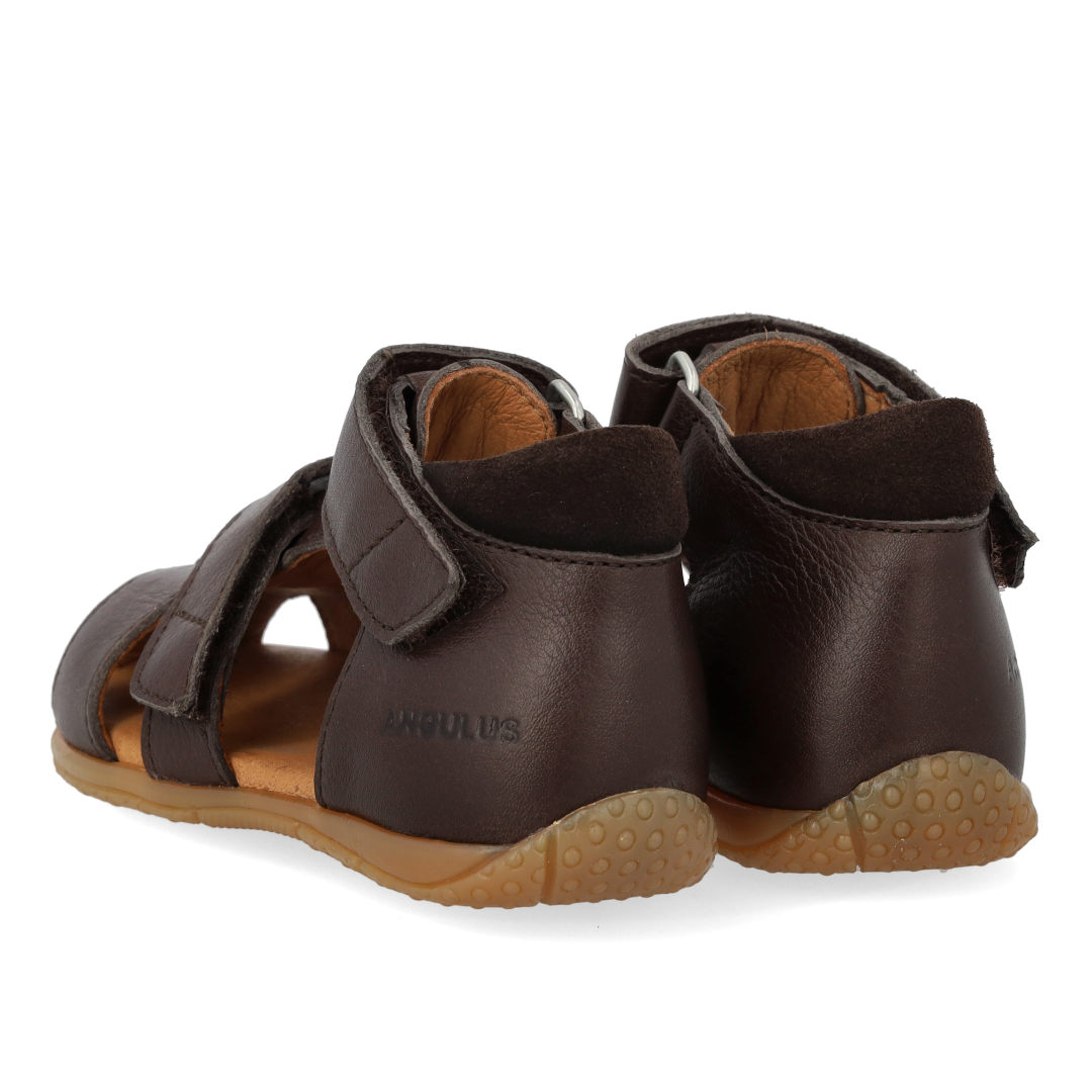 Angulus Begynder sandal  - Dark Brown