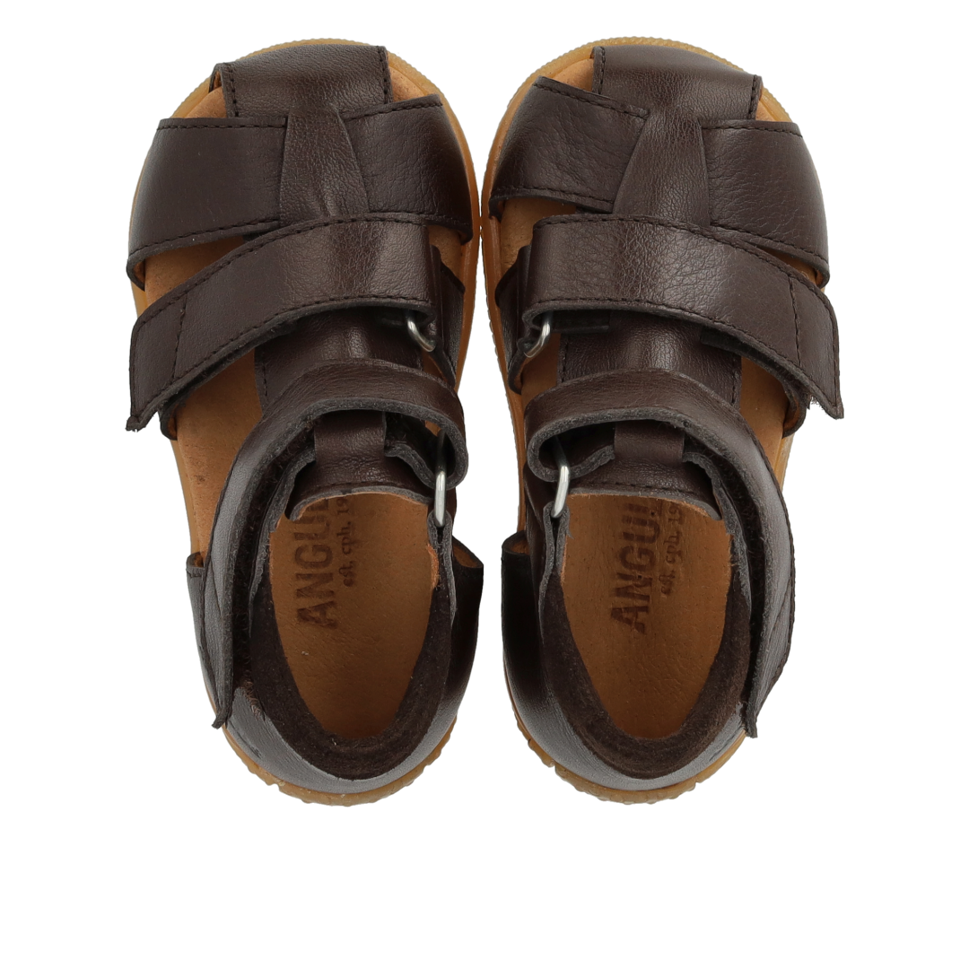 Angulus Begynder sandal  - Dark Brown