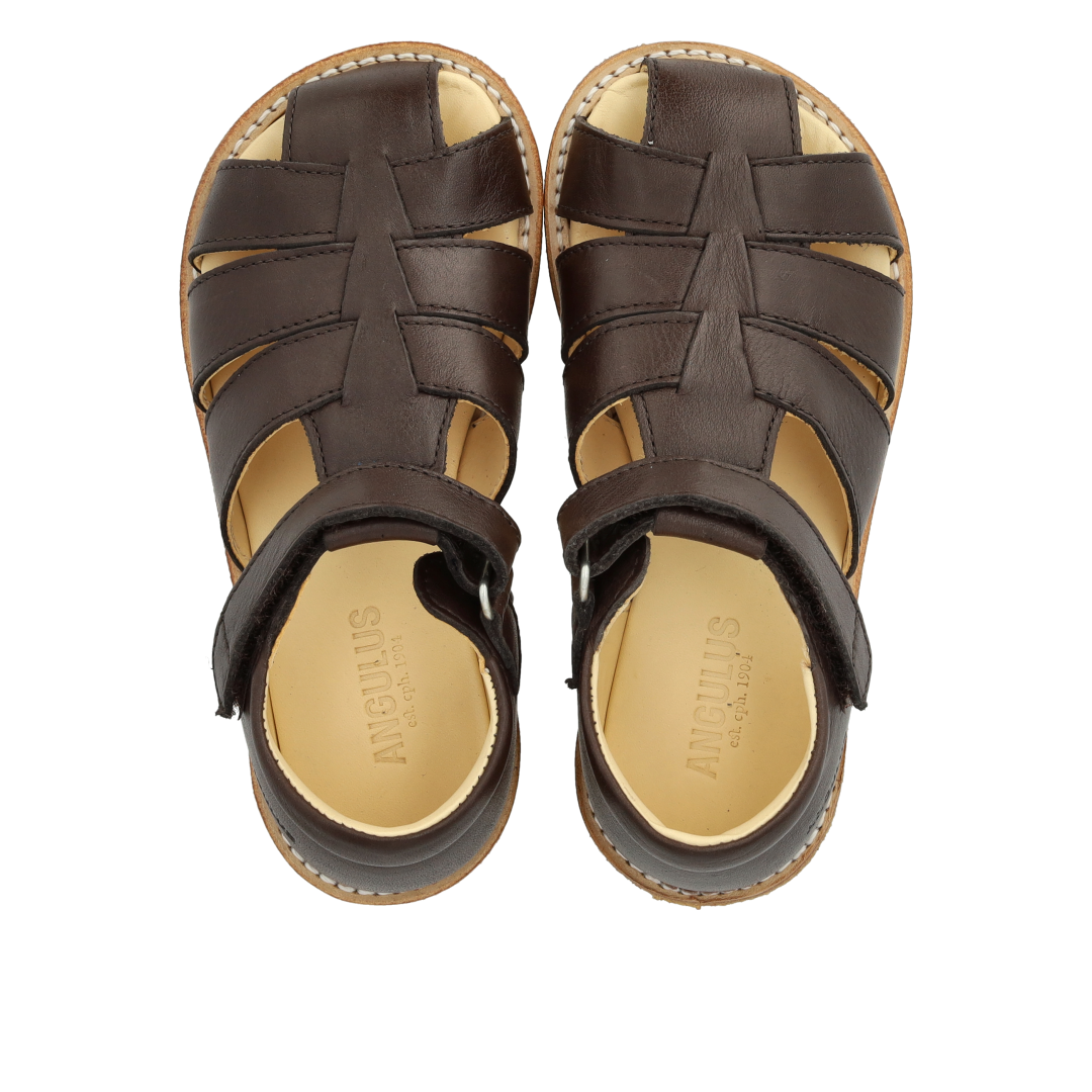 Angulus Sandal med velcro  - Dark Brown